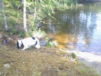 /album/patu/whoo13-334-jpg/